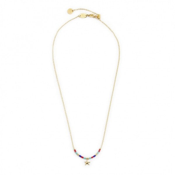 18cn094g-rgb Collana con stella marina