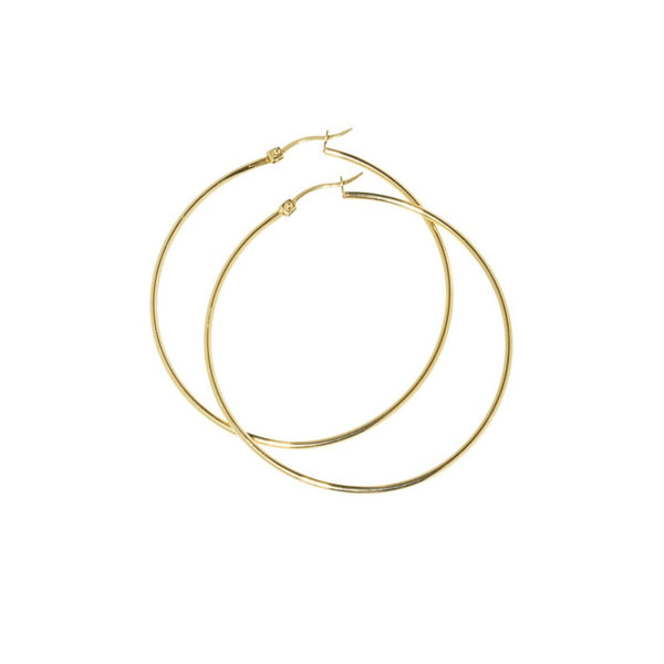 2or0031g Orecchini