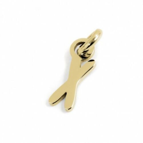 18ch085g-x Charm lettera "X"